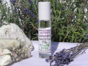 Essential Lavender Oil Roll On - 10ml 