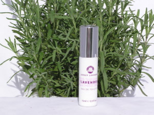 Lavender Eau de Toilette - 15ml 