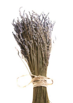 Dried Lavender Bunch