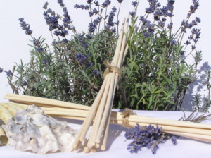 Reed Diffuser Sticks