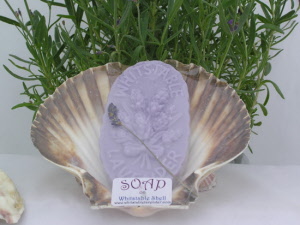 plant soap on scallop shell