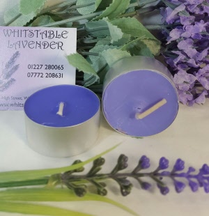 HOME - Candle - Lavender scented Tea-light Candle 