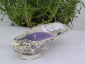 Small Lavender Candle in Oyster Shell