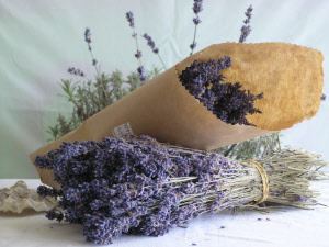 Dried Lavender Bunch in Brown paper 